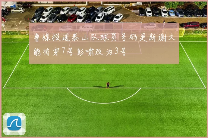 鲁媒报道泰山队球员号码更新谢文能将穿7号彭啸改为3号