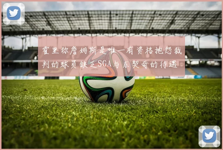 霍里称詹姆斯是唯一有资格抱怨裁判的球员缺乏SGA与东契奇的待遇